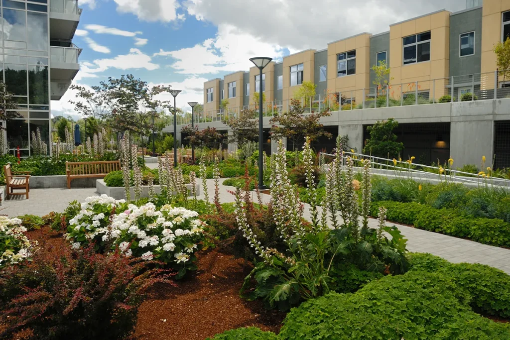 Commercial Landscaping Seattle